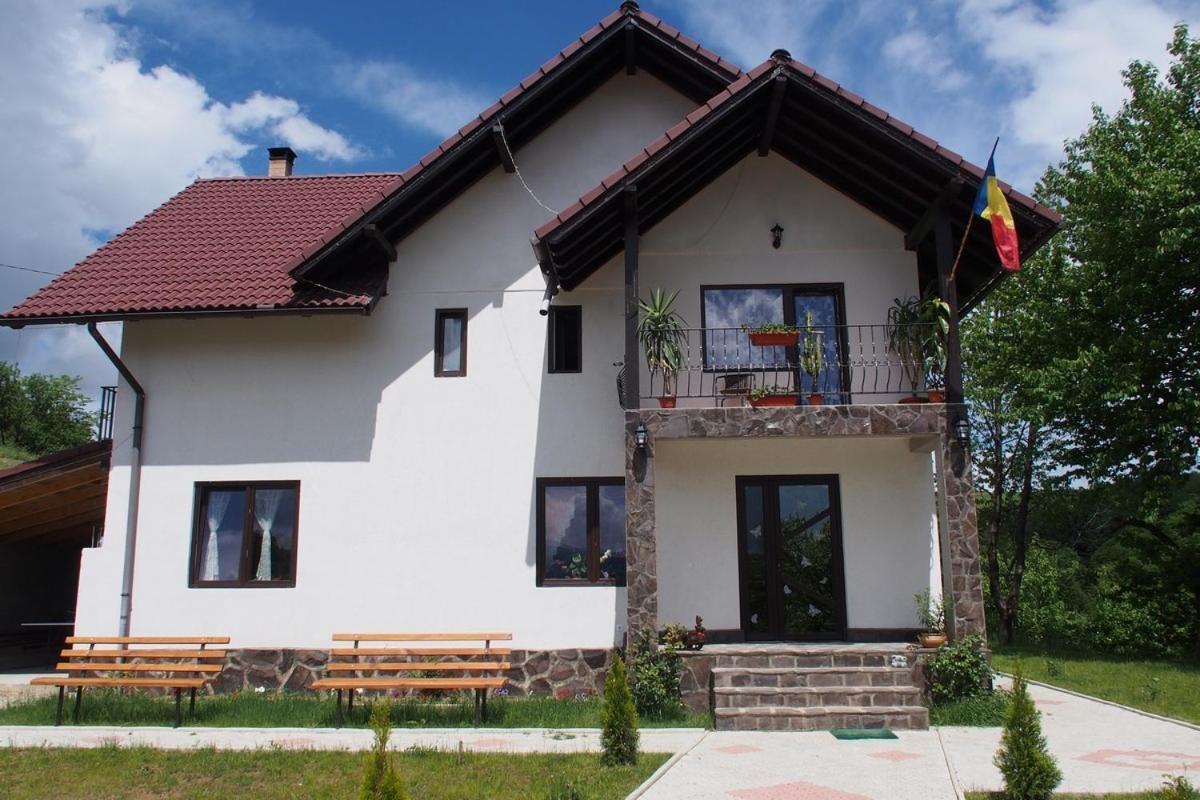 Pensiunea 7 Brazi Poiana Marului  Exterior photo