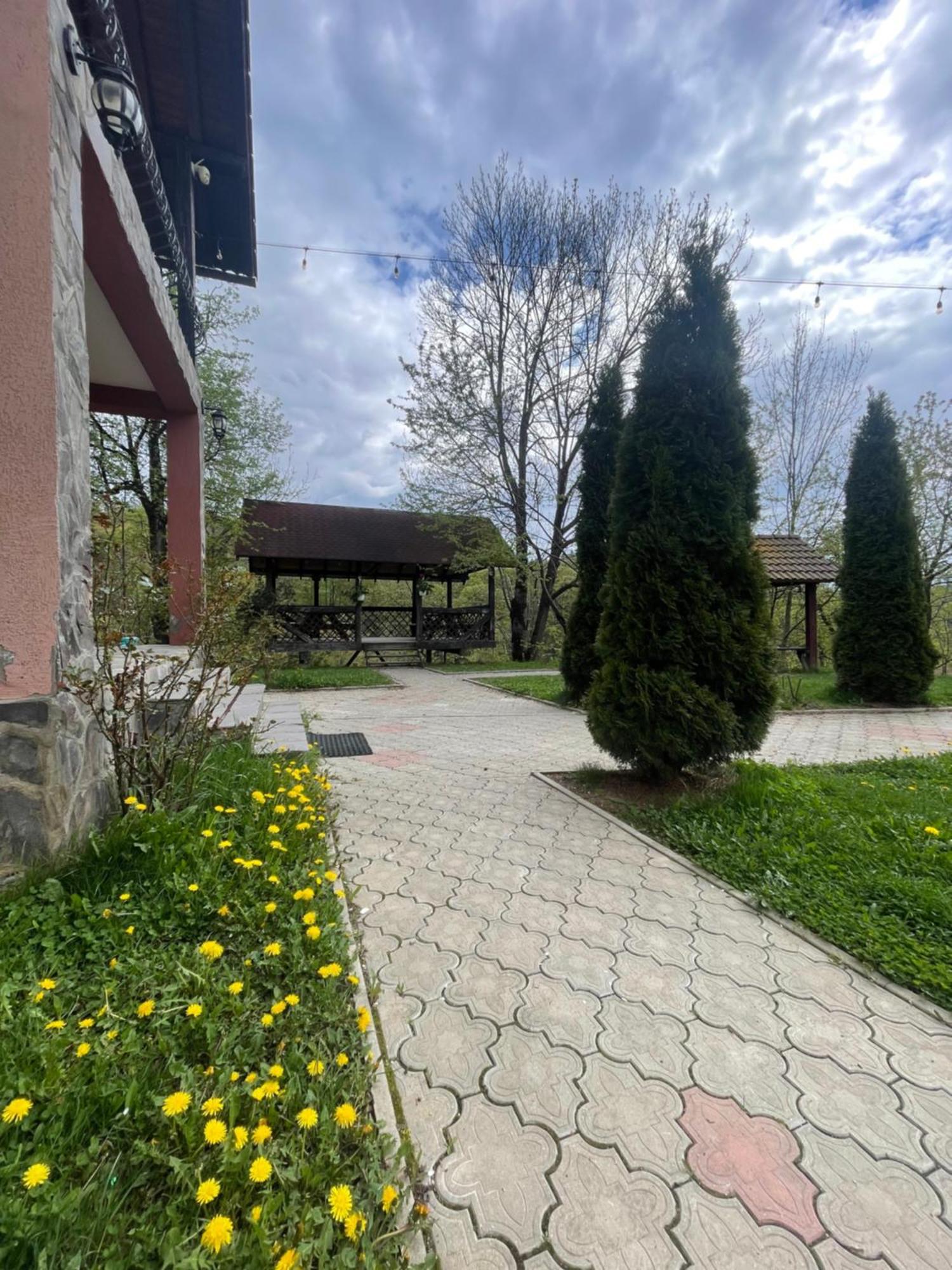 Pensiunea 7 Brazi Poiana Marului  Exterior photo